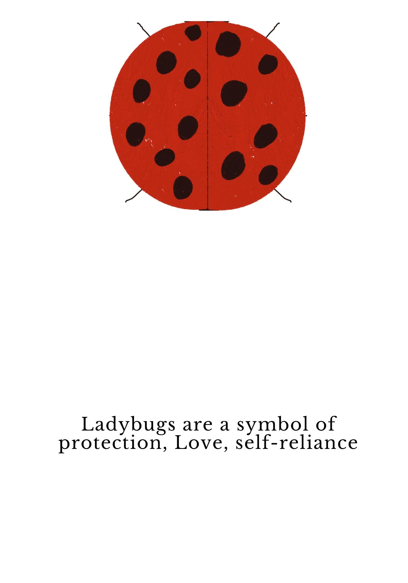 Lucky, Ladybug